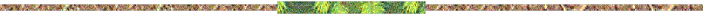 ---