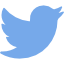 Twitter icon linking to the New Horizons Twitter feed