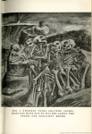 Skeleton excavation by Ward
