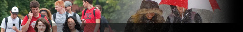 Institutional Header