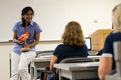 Dr. Chaya Gopalan, SIUE STEM Center faculty fellow, teaches a biology course at SIUE.