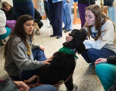 (L-R) SIU SDM students Dallas Pineda and Maggie McCarthy enjoy a visit from therapy dog, Elsa, a Portuguese Water Dog.