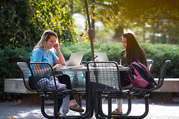 Students study outdoors on SIUE’s campus.