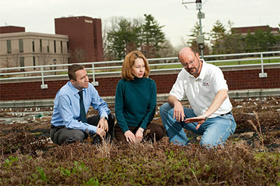 Working on one of SIUE’s green roofs are (L-R) Serdar Celik, Susan Morgan and Bill Retzlaff.