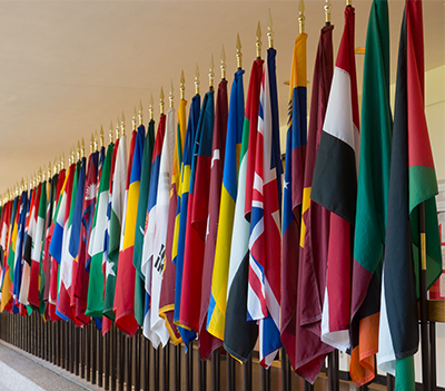International flags at SIUE.