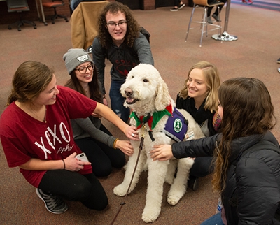 Students gather round Izzy the Goldendoodle in Lovejoy Library. (L-R) Fairen Woolard and Aleah Glodich and Austin Uhls, of West Frankfort; Brooke Snyder, of Alton; and Christa Becherer, of Kaiserslautern, Germany.
