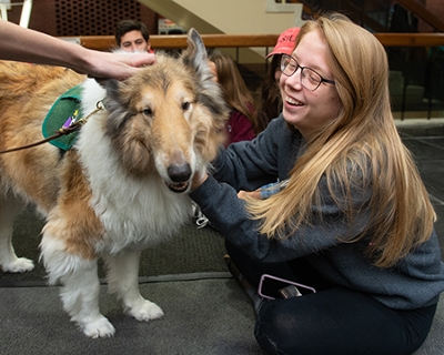 Senior Colleen Mock, of Quincy, smiles happily as she interacts with Socrates, a Rough Collie, with CHAMP Assistance Dogs. 
