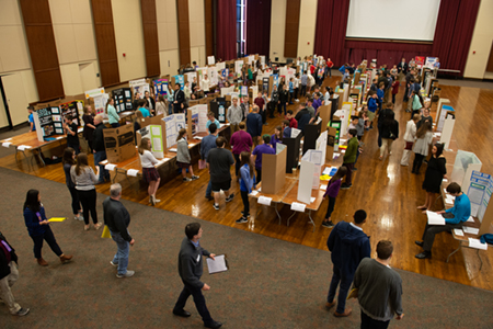 Approximately 150 participants, grades 5-12, presented their research at the Science and Engineering Research Challenge held at SIUE on March 23.