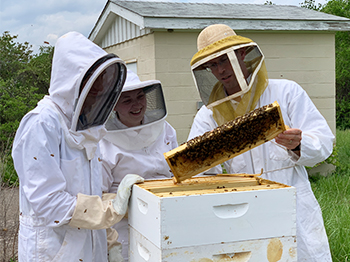 SIUE’s Honey Bee Association is growing, with more students joining forces to learn about bees and help care for the honey bee colonies on campus.