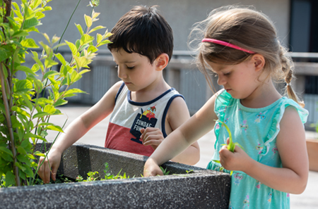 SIUE Early Childhood Center (ECC) students Atlas and Leah weed a flower planting on the rooftop garden outside Fixin’s Restaurant on campus.