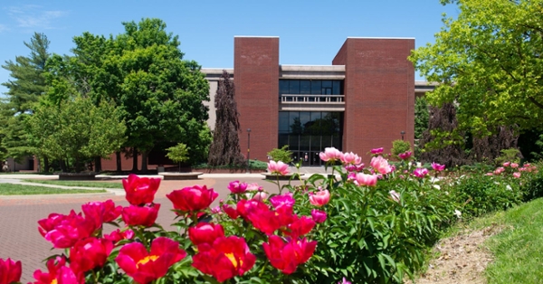 SIUE Campus with tulips in bloom