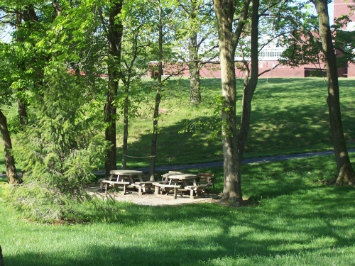Picnic area - Tables and chairs