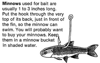 Baiting with Minnows