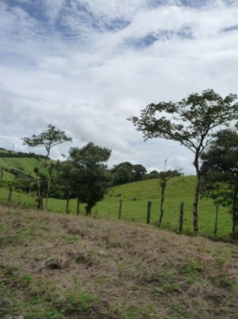Picture of a landscape in Costa Rica