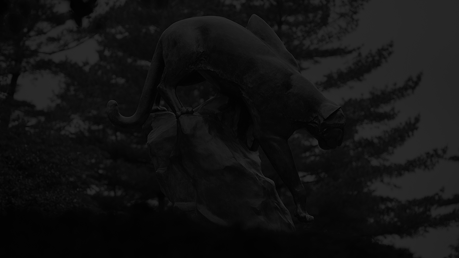 An image of the SIUE cougar statue with trees behind it