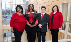 Meet the Team