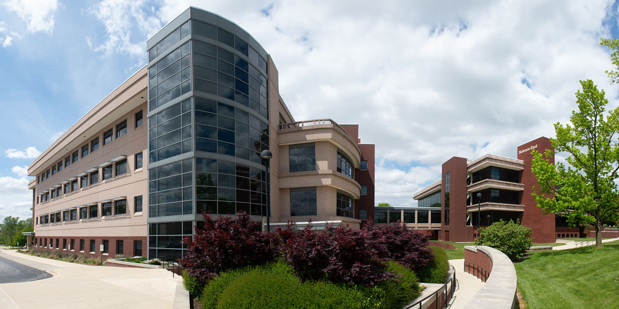 Environmental Sciences (BA, BS)