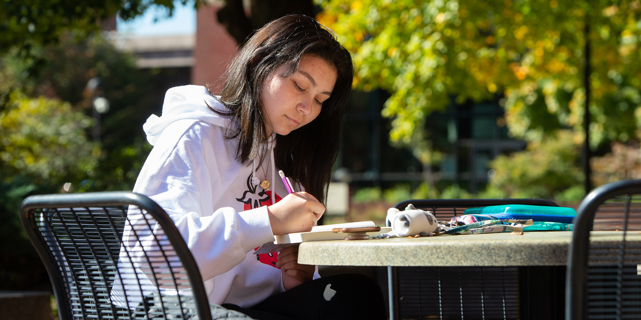 Foreign Languages and Literature (BA, BS)