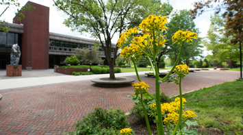 A flower in front of Morris University Center on the SIUE Campus.