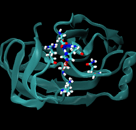 HCV NS3 protease