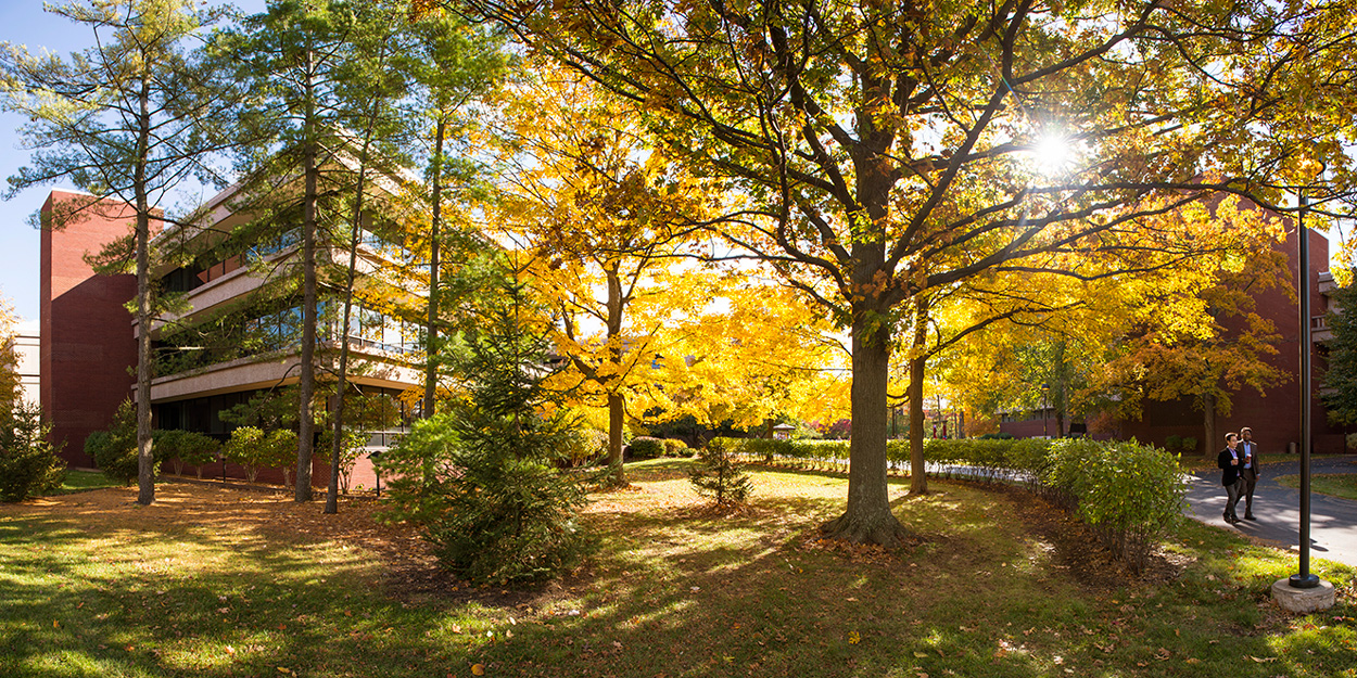 Walkway between Peck Hall and Lovejoy Library during a late afternoon day in the fall. 