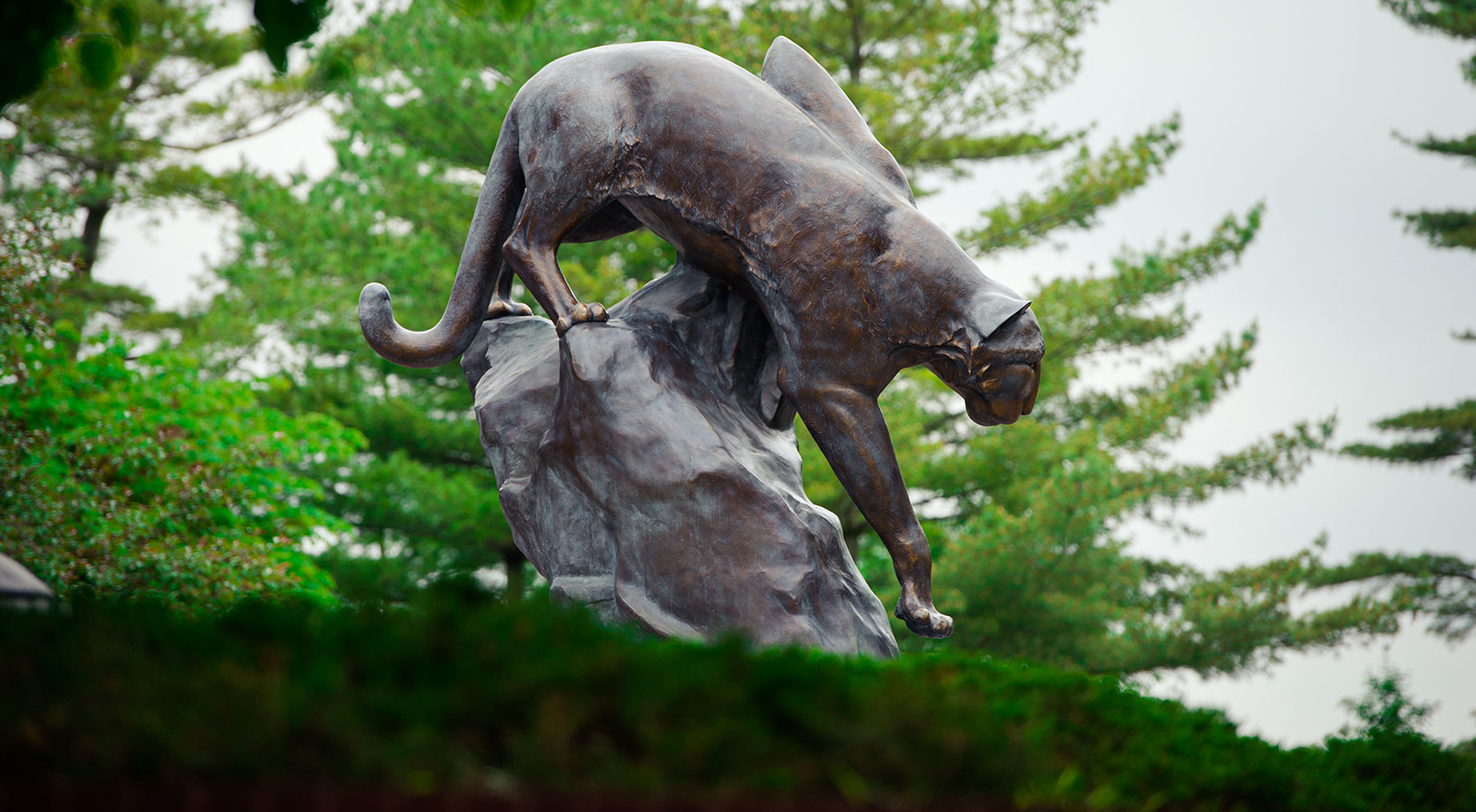 Family Weekend Trivia