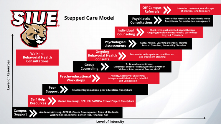 Stepped Care Model
