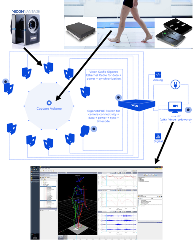 SIUE-Motion Capture and Analysis Laboratory (MOCAL)