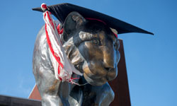 SIUE Cougar Statue with a Graduation Cap on
