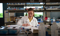 Doctoral Research Grants