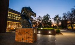 Explore our vibrant campus today.
