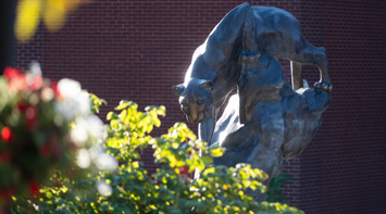 Contact Us With Your Questions