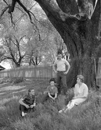 Students sitting under great elm tree.