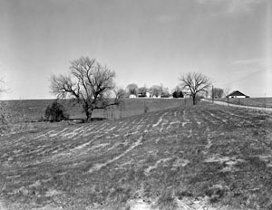 A view of the Freund property in the center of the campus, ca. 1960. (61-233).