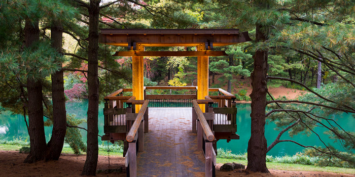 gardens-siue.jpg