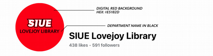 Profile Image Example