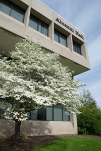 Blooming dogwoods beautify SIUE’s campus.