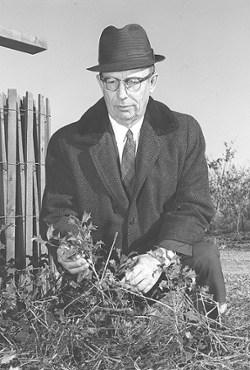 Edward Hume, photo courtesy of: Stephen Kerber, PhD, SIUE archivist and special collections librarian