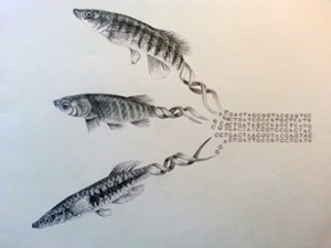 Rachel Rodgers’ imagery represents her study on the phylogeny problem through a genome-scale approach.