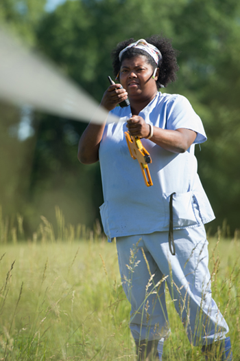 Danielle Lee, PhD, visiting assistant professor in the SIUE College of Arts and Sciences’ (CAS) Department of Biological Sciences, conducts field research.