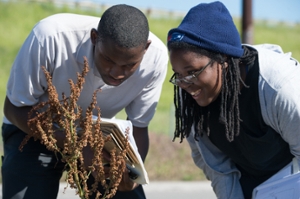 EnrvironmentalResearch