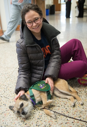 Sarah Bogin, a SIU SDM student, relaxes with therapy dog Kylie, a Border Terrier.