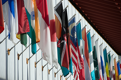 International flags hanging at SIUE.