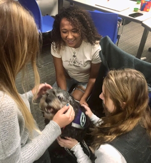 Support Dogs with SIUE Education Students