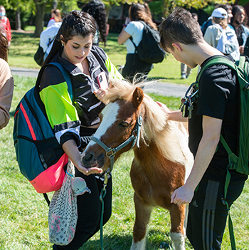 A petting zoo offered a place for students to relax and enjoy a variety of animals on the Dunham Hall lawn.
