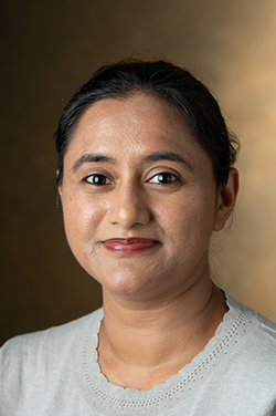 Southern Illinois University Edwardsville School of Engineering’s Amardeep Kaur, PhD, associate professor in the Department of Electrical and Computer Engineering.