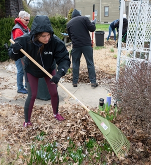 Kaylie Wolter, first-year pharmacy student from Peoria, rakes leaves in a local senior citizen’s yard. 