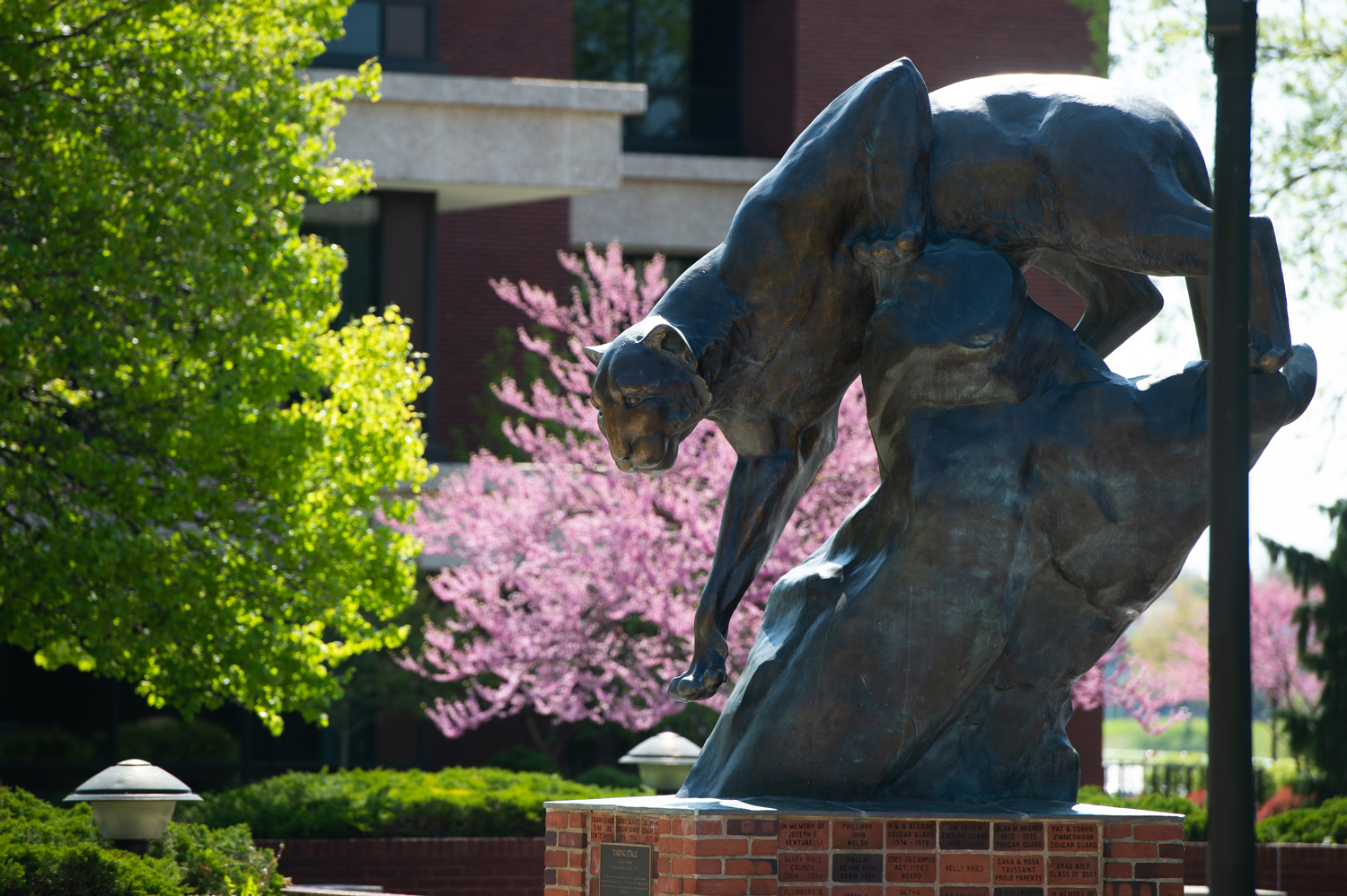 The cougar statue on SIUE’s campus. , PhD, professor in the SIUE School of Engineering Department of Mechanical and Mechatronics Engineering.
