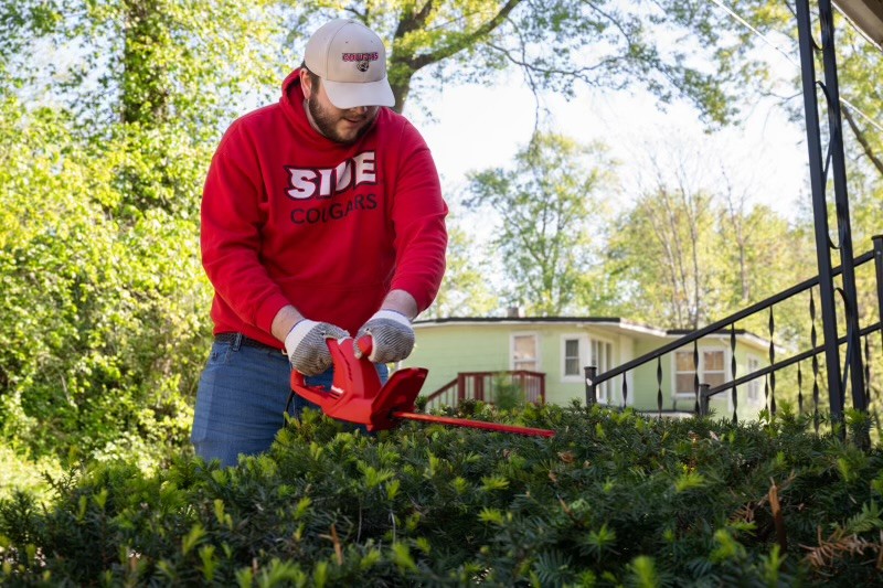 Student operates chainsaw on tree