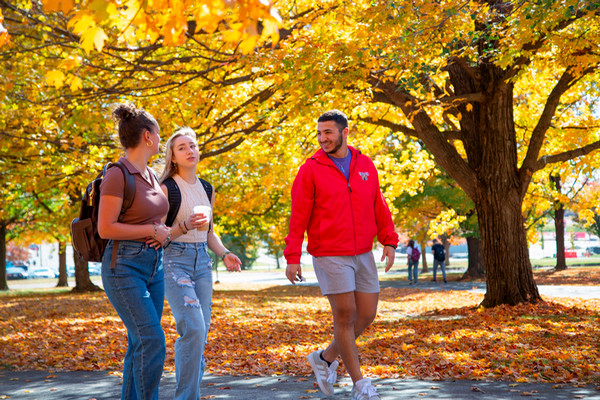 Three students walking and talking on SIUE campus among fall leaves on trees